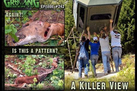 News & Tips: Easy Tips For Deer Hunters: Shoot or Don't Shoot?...