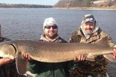 Catfish, Muskie, Sturgeon, Rod & Reel. - sporting goods - by owner