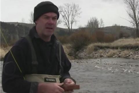 News & Tips: Fly Fishing Westslope Cutthroat Trout in Western Montana...