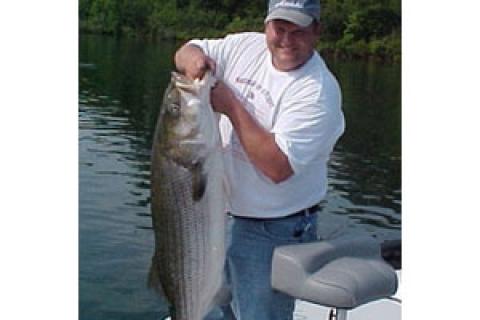 Summer Stripers: Chunking Structure - The Fisherman