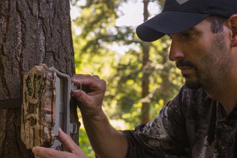 Hunter setting up game camera