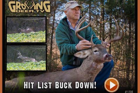 News & Tips: Hit List Buck Down
