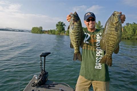4 Plastic Worm Rigs for Bass That You Should Know (infographic)
