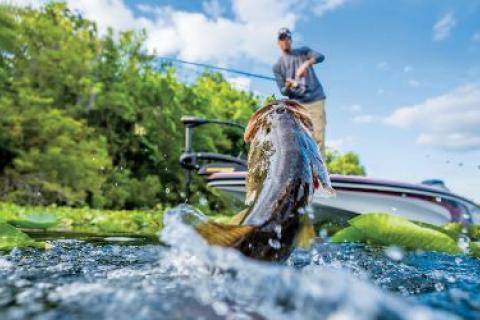 Summer Bass Fishing Tips