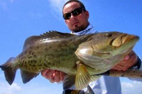 Biscayne Bay Veteran Fishing with SALM