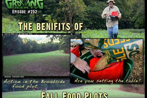 News & Tips: Deer Hunting: Secrets for Quick Fall Food Plots (video)...