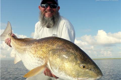 How To Use This Shrimp Lure To Catch Monster Redfish 