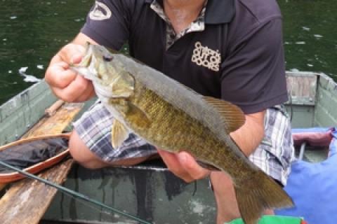 News & Tips: Finding Smallmouth in Late Season Lakes...