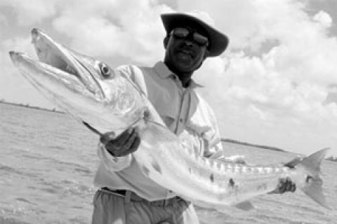 Barracuda Fishing Tips and Best Lures