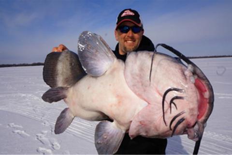 Ice Fishing for Channel Catfish - How to Catch (What to Use) 