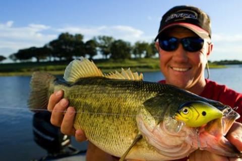 News & Tips: How to Fish for Summer Bass with Crankbaits...