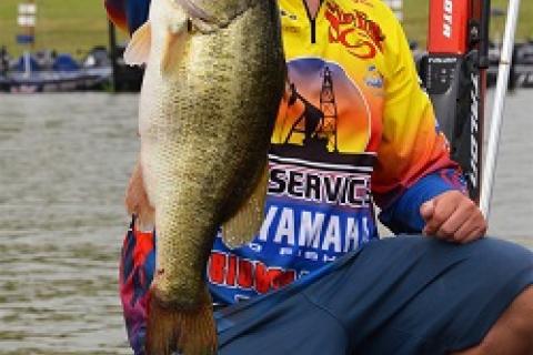 Combs hoists a giant bass from today's limit by Combs hoists a giant bass from today's limit...