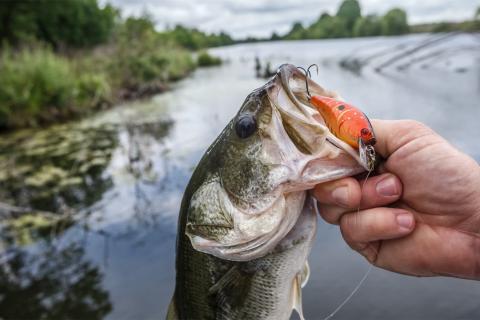 Why A $6 Bass Pro Shops Hat is The Trendiest Item To Wear Right Now