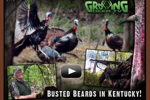 News & Tips: Best Turkey Hunt of the Year: Busted Beards in Kentucky...