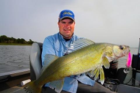 Author Jason Mitchell with a walleye caught trolling a Salmo Bullhead SDR.  Fall trolling patterns can produce some of the largest walleye of the season. by Author Jason Mitchell with a walleye caught...