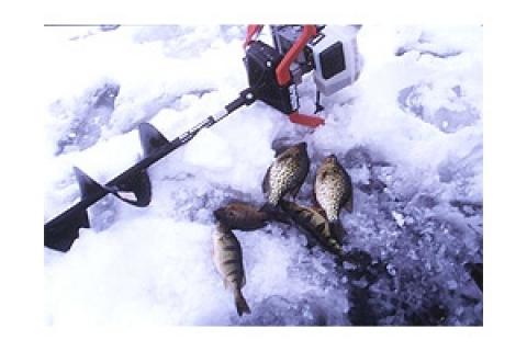 News & Tips: Gearing Up for Ice Fishing