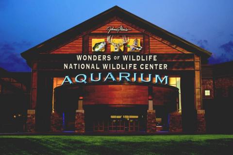 News & Tips: Johnny Morris’ Wonders of Wildlife National Museum and Aquarium Featured on Bass Pro Shops Outdoor World Radio...