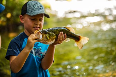 Fishing in BASS PRO SHOPS! (Big Fish) 