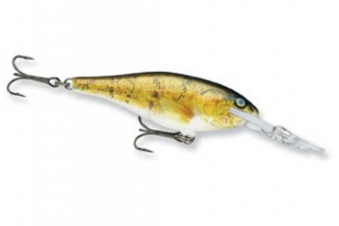 Fall Bass Fishing: Choosing Crankbait Colors