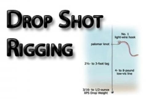 Drop Shot Rigging