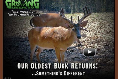 News & Tips: Our Oldest Buck Returns, a Prescribed Fire & Pond Tips...
