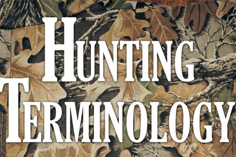 Hunting Terminology List