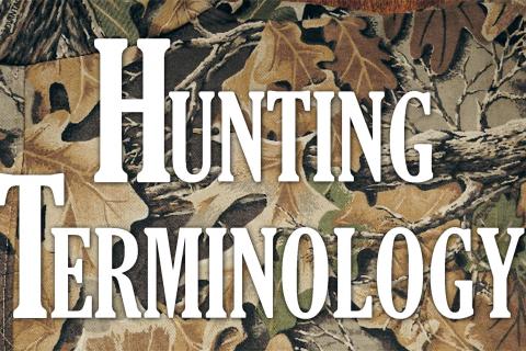 Hunting Terminology