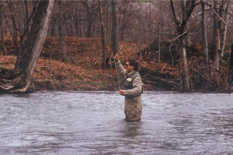 Wading Staff - Fly Fishing Supplies - Trout Fly Fishing Basics