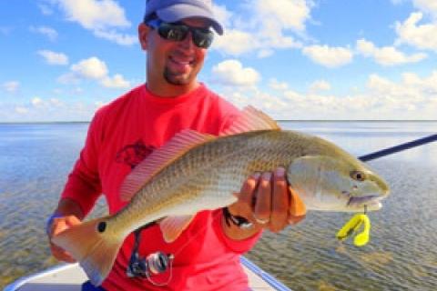 News & Tips: 4 Great Redfish Rigs and How to Fish Them...