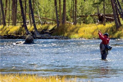 News & Tips: Fly Fishing: Cast a Grasshopper Fly to Fool Fall Trout...