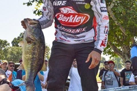 Justin Lucas bagging one of his winning fish at the Sacramento River Elite event by Justin Lucas bagging one of his winning fish at the Sacramento River Elite event...