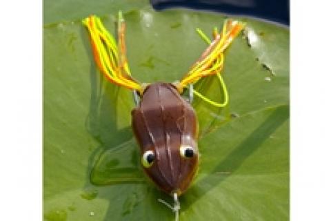 News & Tips: Frog Fishing Fundamentals