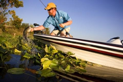 News & Tips: How to Target Edges for Largemouth Bass...
