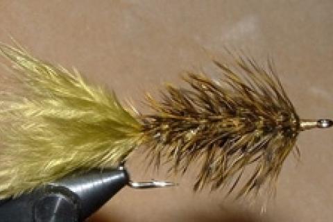 News & Tips: Tying the Wooly Bugger