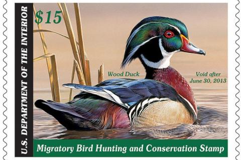 The Federal Conservation Duck Stamp Bass Pro Shops