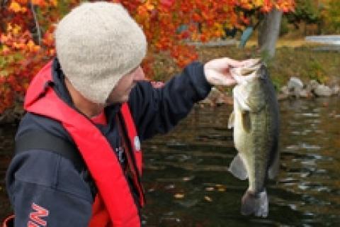 News & Tips: Chasing Fall Largies in the North