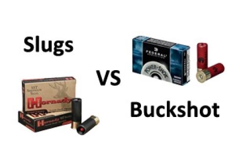 News & Tips: Slugs or Buckshot for Deer?