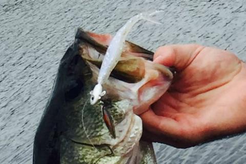 Bass Pro Shops Baitfish Under Spin Jighead