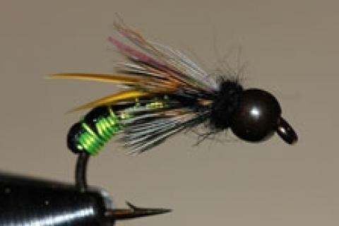 News & Tips: Tying the Wired Caddis