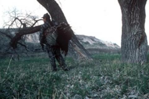 News & Tips: Spring Turkey Hunting for Sagebrush Gobblers...