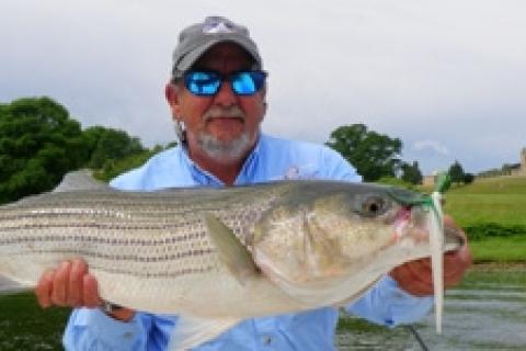 News & Tips: Travel Blog: Rhode Island Angling Adventures...