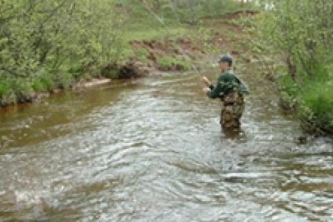 News & Tips: Pocket Water Trout Fishing