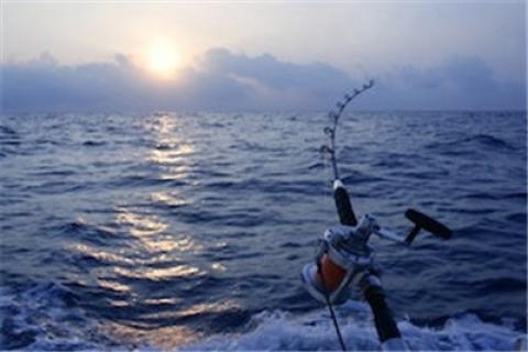 News & Tips: 3 Tips for Making the Switch to Saltwater Fishing...