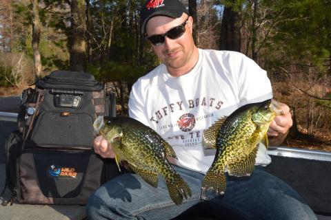 Keith Worrall Holds a Brace of Northern Wisconsin Crappies by Keith Worrall Holds a Brace of Northern Wisconsin Crappies...