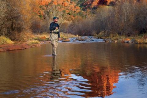 News & Tips: Experts Discuss Apache & Gila Trout Recovery on Bass Pro Shops Outdoor World Radio...