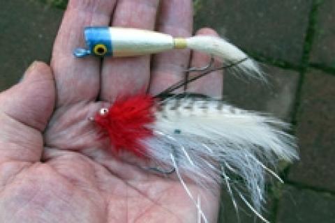 Bass and Pike Streamer, Bass Bug, Fly Fishing Flies, Flies, Bass