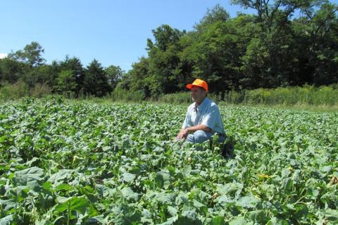 News & Tips: How to Plant a Food Plot – A 10 Step Guide for Beginners (video)...