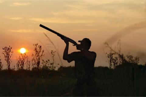 News & Tips: Dove Hunting Basics: Tips on Guns, Loads and Shooting (video)...