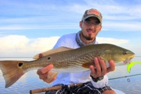 Find Great Saltwater Fishing in Southern Louisiana