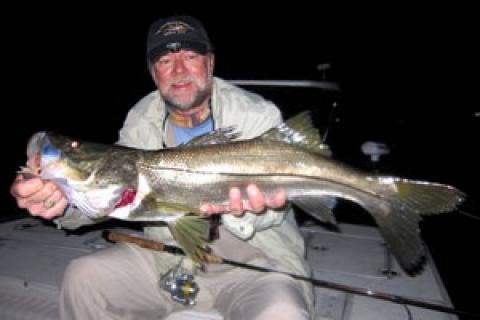 News & Tips: 4 Great Snook Lures and How to Fish Them With Success...